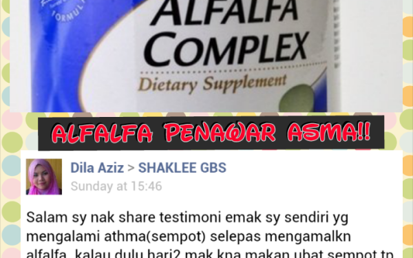 Shaklee effect: ALFALFA SHAKLEE PENAWAR ASMA!