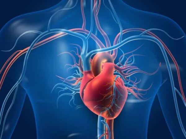 Ini Vitamin Penting Untuk Masalah Jantung Lemah